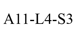 A11-L4-S3