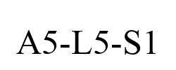 A5-L5-S1