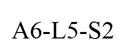A6-L5-S2