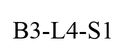 B3-L4-S1