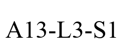 A13-L3-S1