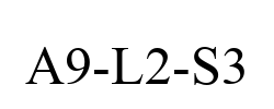 A9-L2-S3
