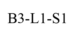B3-L1-S1 B3-L1-S1