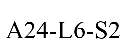 A24-L6-S2