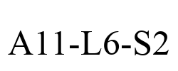 A11-L6-S2