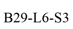 B29-L6-S3