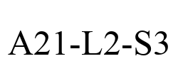 A21-L2-S3