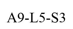A9-L5-S3