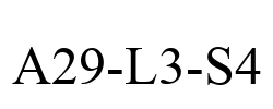 A29-L3-S4