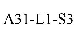 A31-L1-S3