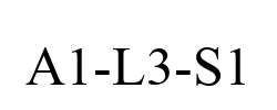 A1-L3-S1