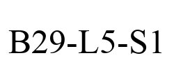 B29-L5-S1