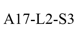 A17-L2-S3