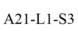 A21-L1-S3