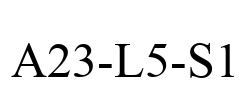 A23-L5-S1