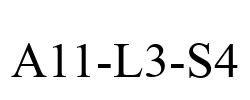 A11-L3-S4