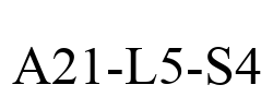 A21-L5-S4 A21-L5-S4
