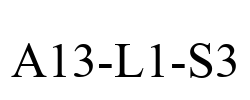 A13-L1-S3