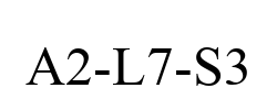 A2-L7-S3