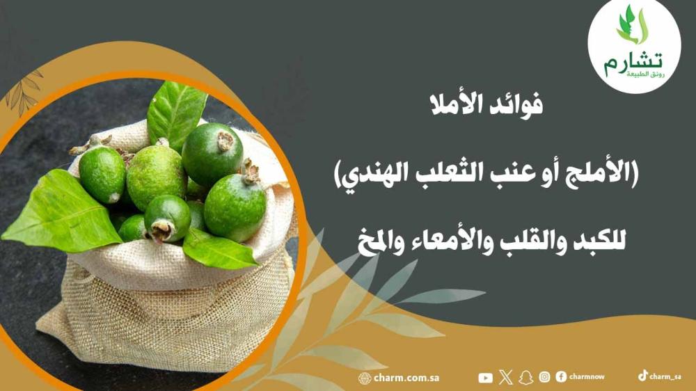 فوائد الأملا (الأملج أو عنب الثعلب الهندي)  للكبد والقلب والأمعاء والمخ