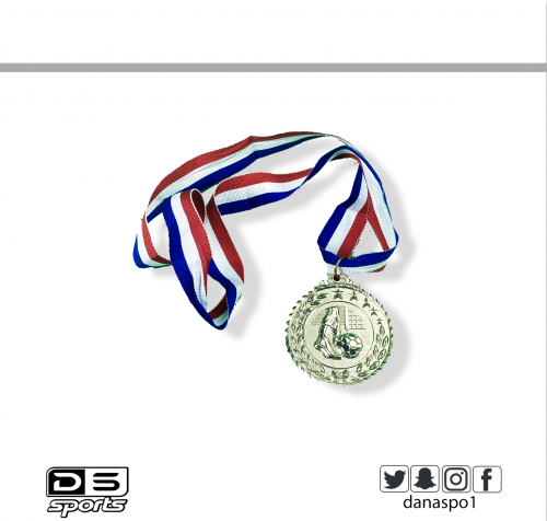 ميدالية فضية