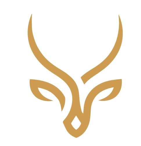 store avatar
