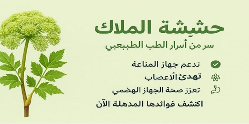 عشبة حشيشة الملاك