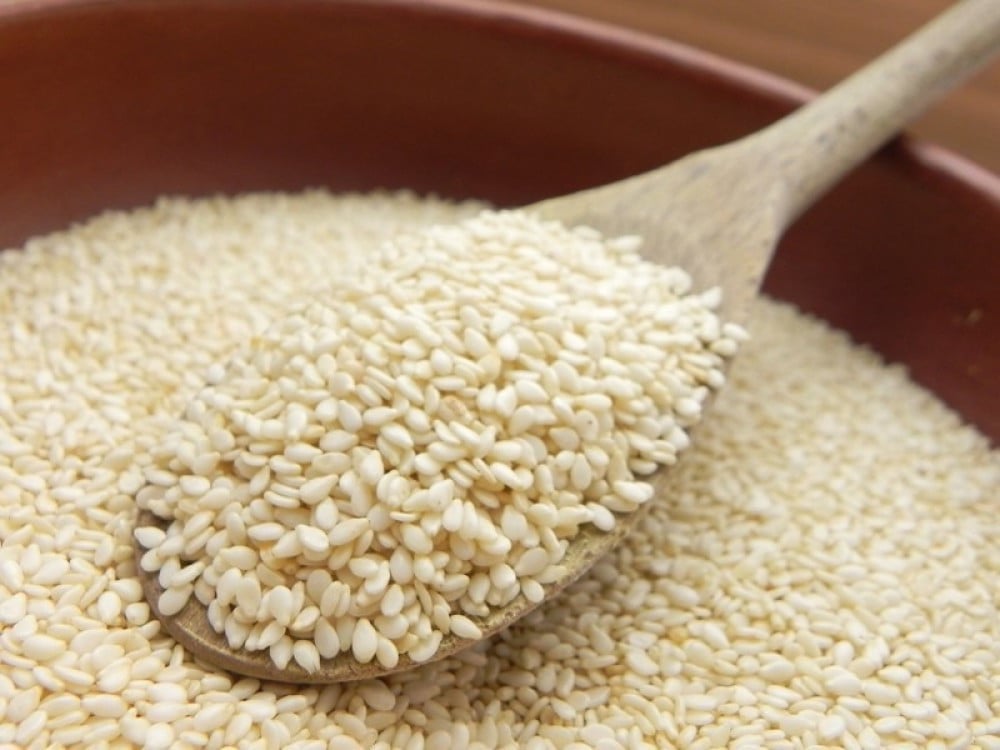 صنوبر باكستاني