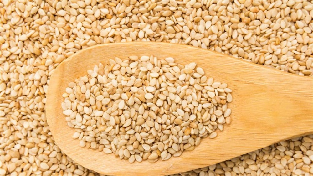 صنوبر باكستاني