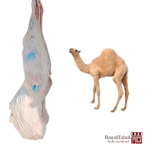 ربع حاشي حوار