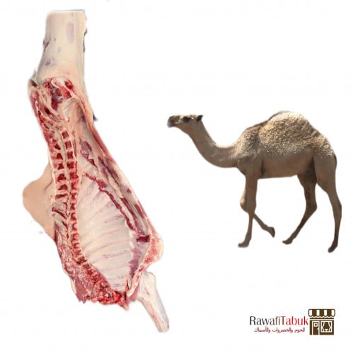 نصف حاشي بلدي حوار