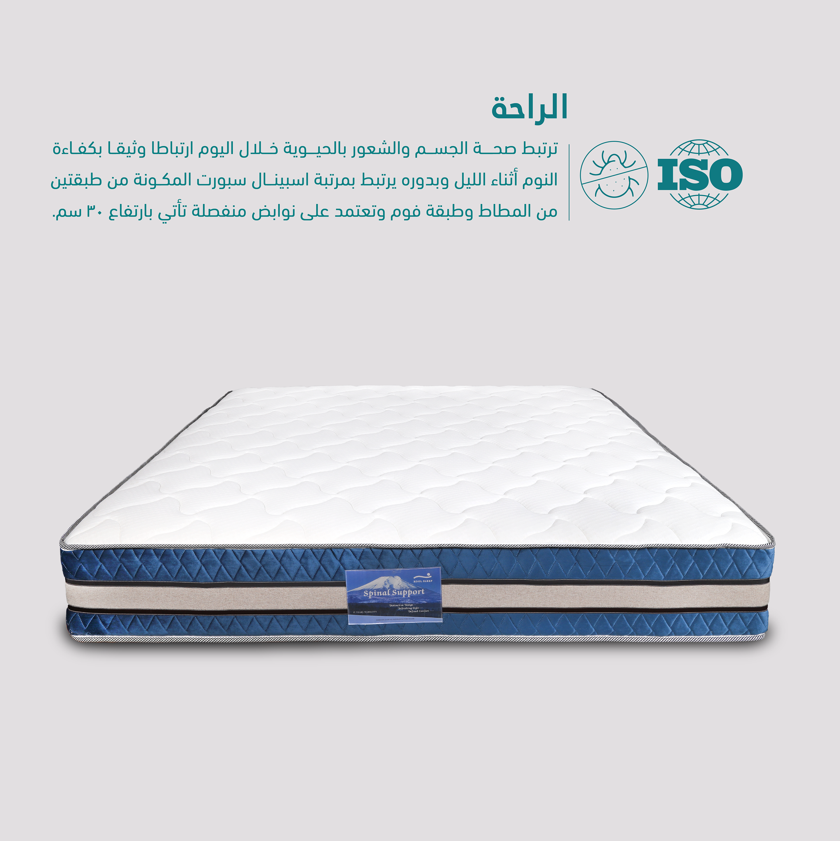 مرتبة اسباينال سبورت  (Spinal sport)