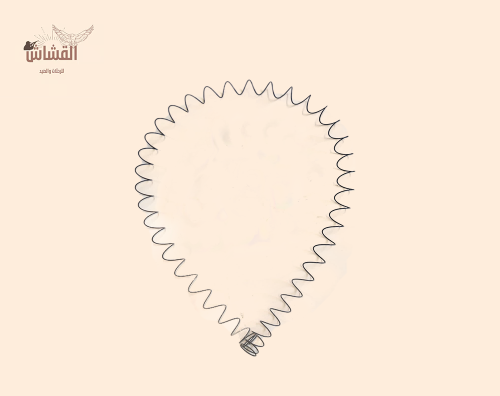 سستة بيكال اصلي