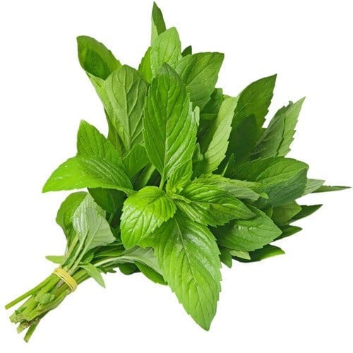 نعناع طازج صحن 3 حبات