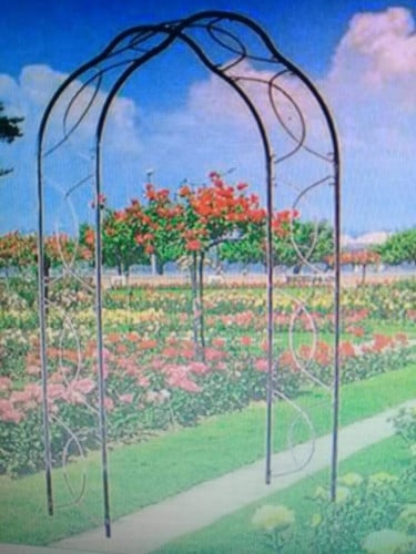 قوس حديقة Garden Arch