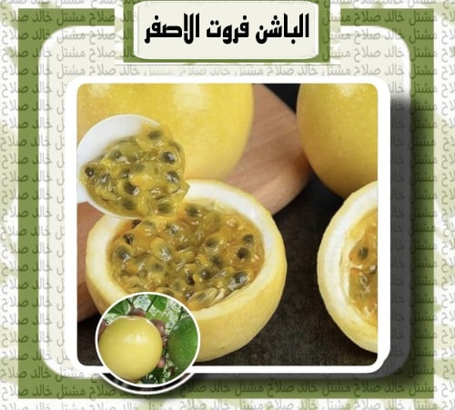 الباشن فروت الاصفر