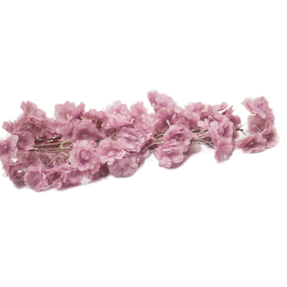 اغصان ورد الربيع