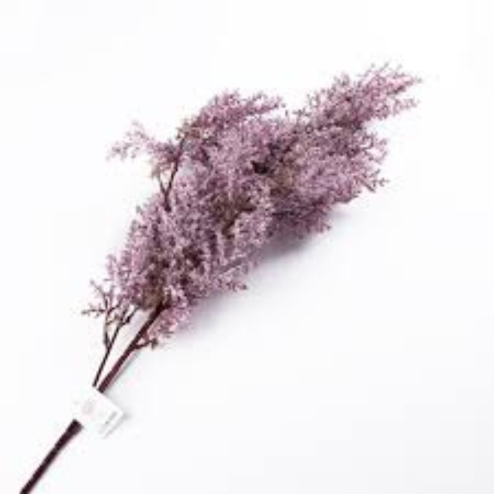 ورد جسفينيا