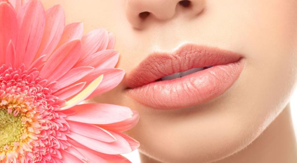 Supply of lips