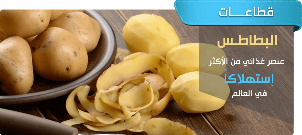 أفضل قطاعة بطاطس لتحضير الطعام