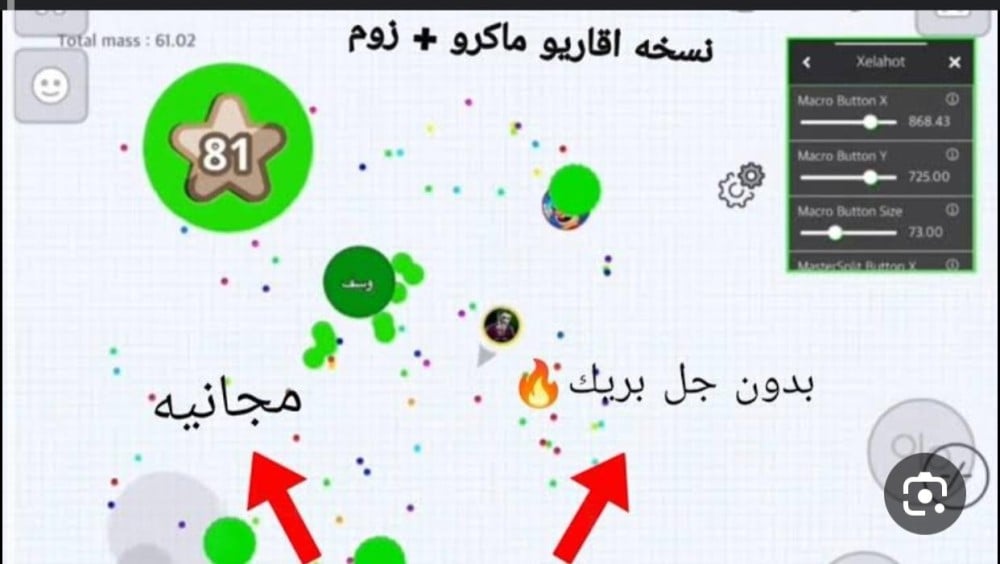اقاريو مايكرو