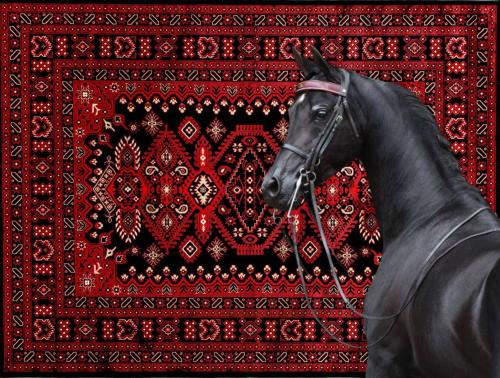 سجاد | Rug