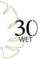 محمصة WET30