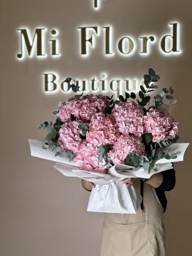 MFB23