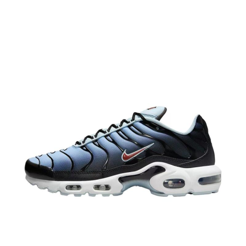 Nike Air Max Plus "Black Pink"