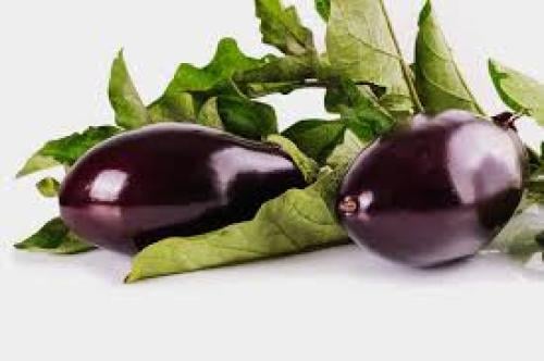 باذنجان فلين