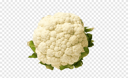 زهره حبه