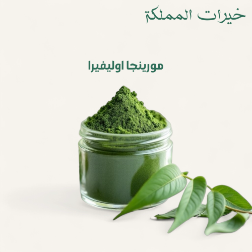 مورينجا اوليفيرا 500g