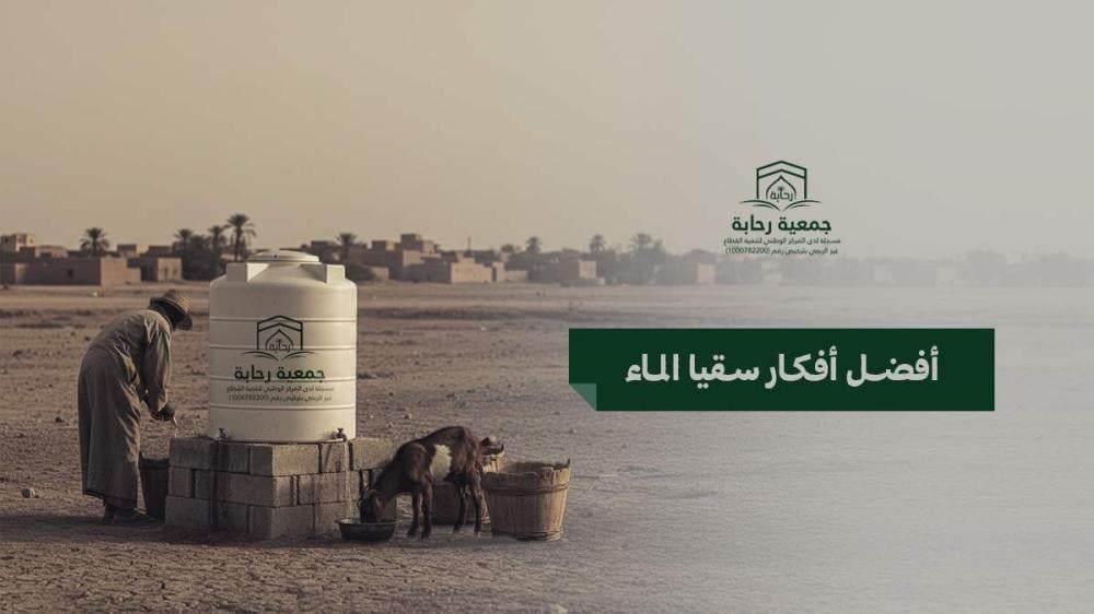 دليلك لأفضل أفكار سقيا الماء