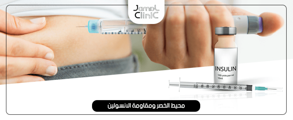 محيط الخصر ومقاومة الانسولين